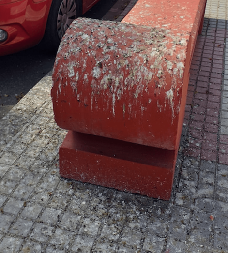 Uno de los bancos de Américo Vespucio, cubierto por excrementos de aves / TA